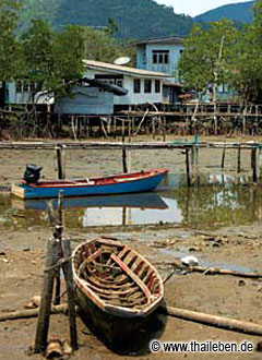 foto_kohchang_ostkueste04 Rustikaler Alltag: Salak Kok bei Ebbe.