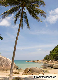 foto_treehouse_kp01 Der seichte Tong Reng Strand am Treehouse KP.